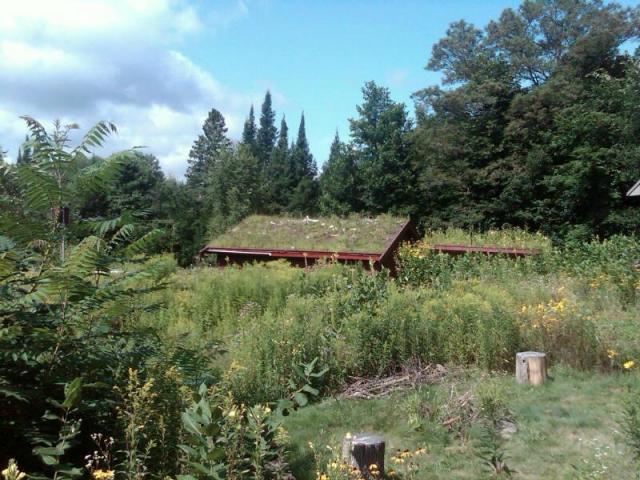 "Green" Living Roof